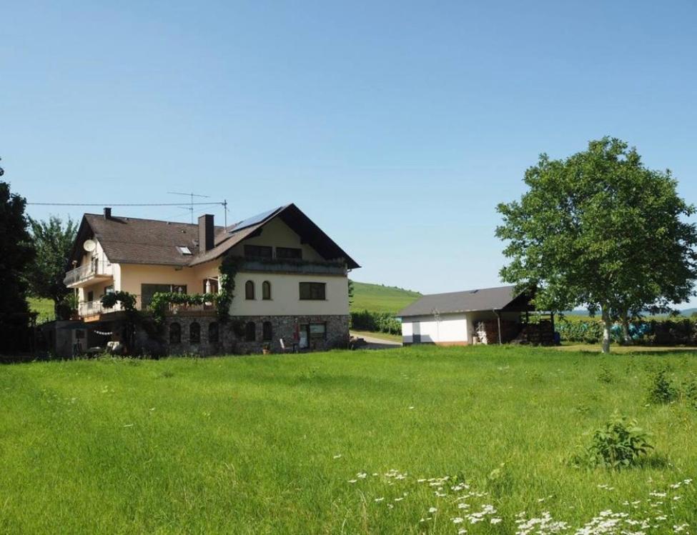 Landhaus Sonneninsel - Appartement Minheim Exterior foto